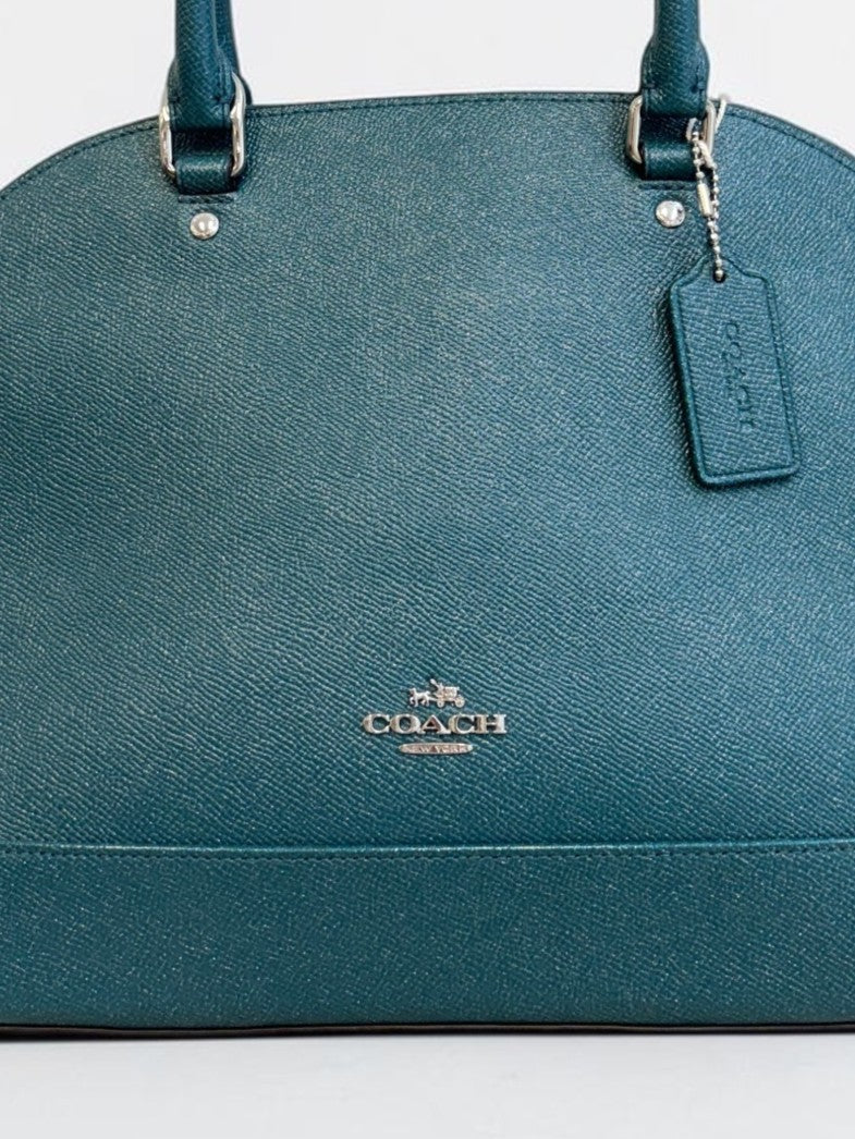 Coach mini Sierra leather crossbody BNWT